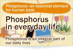 Phosphorus – an essential element for human body,Phosphorus in everyday life,Phosphorus is an integral part of our daily lives