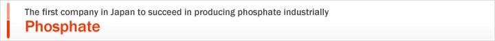 The first company in Japan to succeed in producing phosphate industrially,Phosphate